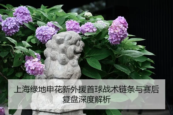shang-hai-lv-di-shen-hua-xin-wai-yuan-shou-qiu-zhan-shu-lian-tiao-yu-sai-hou-fu-pan-shen-du-jie-xi-2-758.jpg