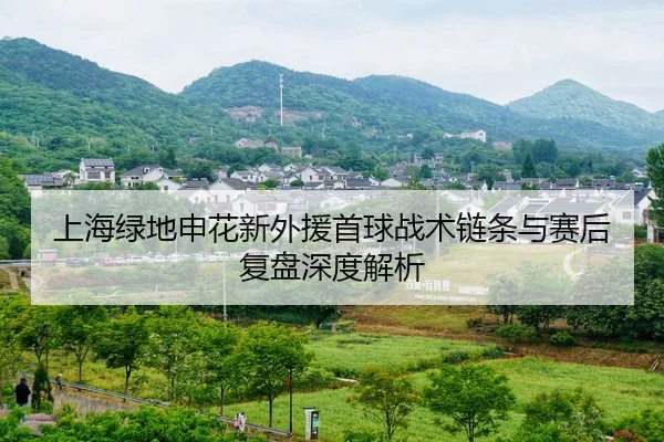 上海绿地申花新外援首球战术链条与赛后复盘深度解析